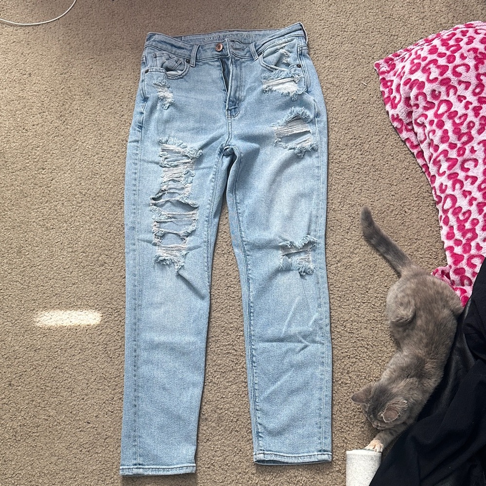 American Eagle Outfitters Light Blue Distressed Jeans